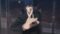 xKHaV7lbRU6AHijcAsGmJgXWcBi